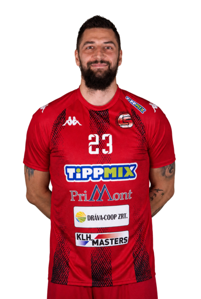 Vojislav Brajovic