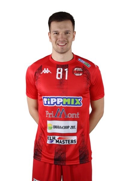 Aleksa Tufegdzic